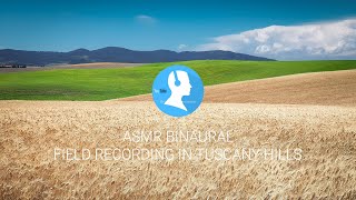 Binaural Field Recording in Tuscany wheat hills