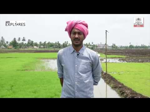 TNIE Explores: This techie from Guntur ditched his US job for farming