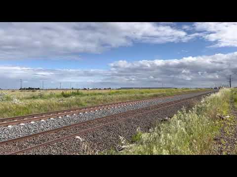 Down Qube Cement double RLs