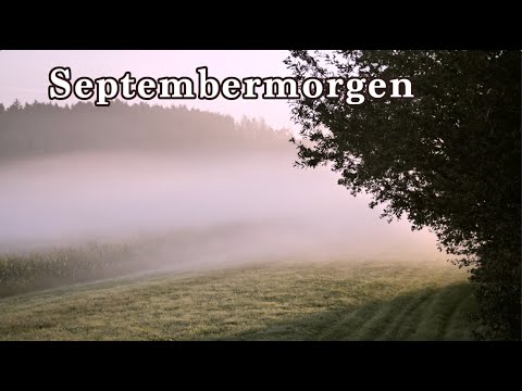 Morgens im September - ein erstes Waidmannsheil