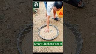 Smart Chicken &amp; Duck Feeder for Healthy Feeding #PoultryFeeder #shortsfeed