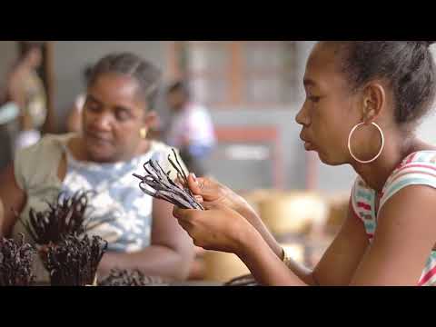 Фото Рекламный ролик производителя ванили