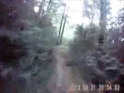 Ritorno dai Boschi di Cesate