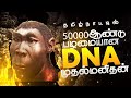 50000 ஆண்டு DNA In Tamilnadu Tamilar History In Tamil Attirampakkam Archaeological Site
