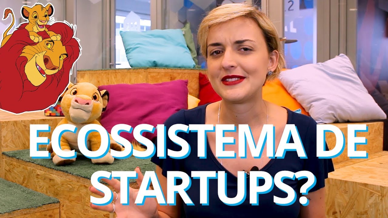 ENTENDA O ECOSSISTEMA DE STARTUPS COM REI LEÃO | SE LIGA NO ECOSSISTEMA