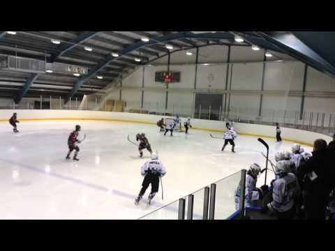 B2 KARHU-KISSAT - PELICANS, Eerola