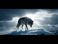 The Real Reason Wolves Walk Alone — Lone Wolf Mindset Explained