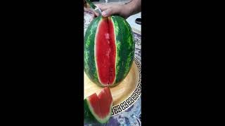 full day working routine in 🇦🇪 🇦🇪 🇦🇪