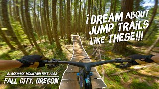 The perfect freeride trails DO exist!