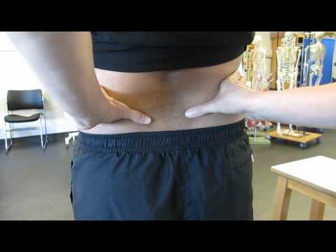 Surface Anatomy: Pelvis, Posterior Landmarks on Model