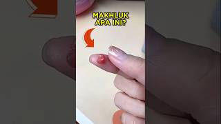 Download lagu This Girl Saved This Little Creature 🐿😍 #shorts #squirrel mp3