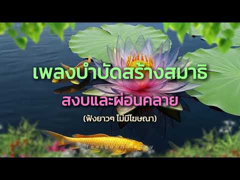 ดนตรีบำบัดสร้างสมาธิ (ไม่มีโฆษณา)