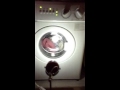 Zanussi Zwc1301 Synthetics 40 Quick Wash Part 1