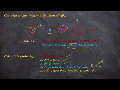 Cơ chế phản ứng thế ái điện tử SE