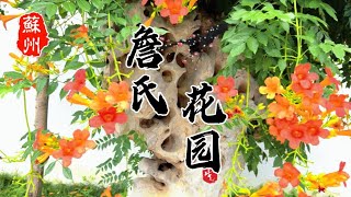 詹氏花园｜苏州小众园林｜Zhan‘s Garden in Suzhou