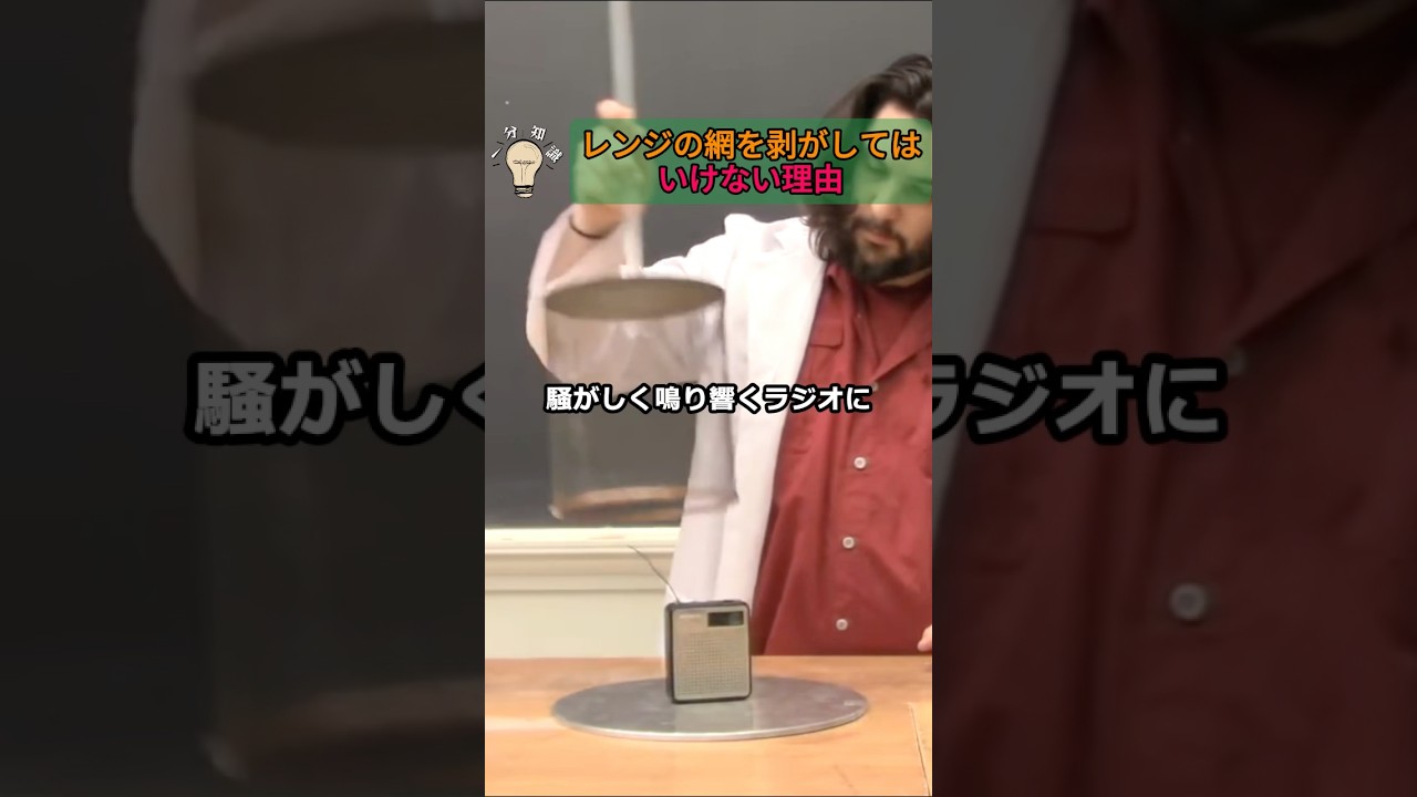 レンジの網を剥がしてはいけない理由