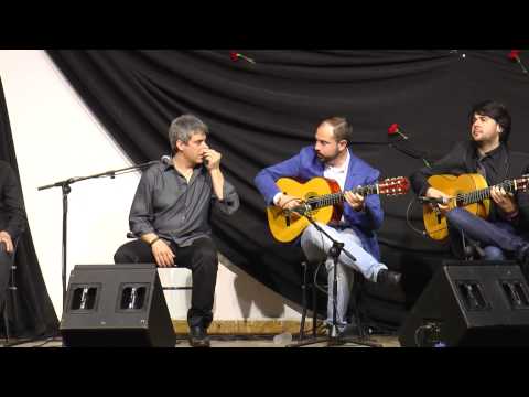 Homenaje a Candido de Quintana IV