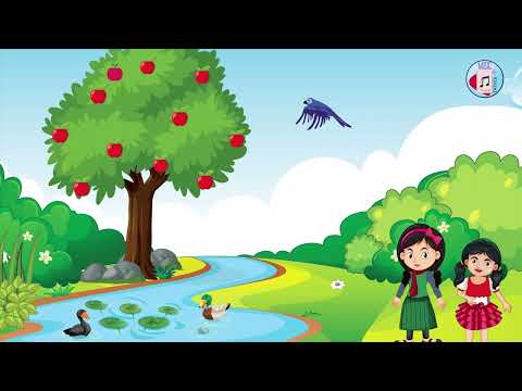 Plant Life Cycle Explained with Fun Animation Song