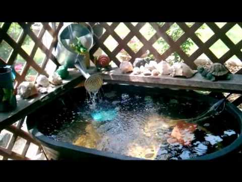 40 Gal Tuff Stuff Stock Tank Cantainer Goldfish Pond