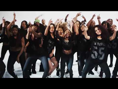 Les Probo - T'es bête ou quoi - Clip officiel