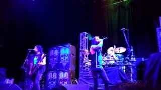 The Family Ruin - Bring Out Your Dead