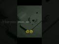 Forget Me ️ ️ Shorts Status Statusvideo Whatsappstatus