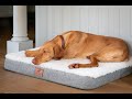 The Red Dog Company Luxury Dog Mats