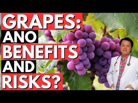 Grapes: Ano Benefits and Risks? - By Doc Willie Ong (Internist and Cardiologist)