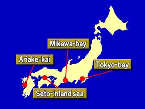 NORI(Porphyra)For Further development of seaweed industry-Seaweed Cultivation and Industry of Japan-