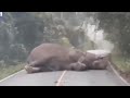 Padithurai Pandi Eliphant Version Vadivelu Version Smart Kitchen Funny Video Relaxation