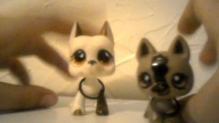 Lps story and random