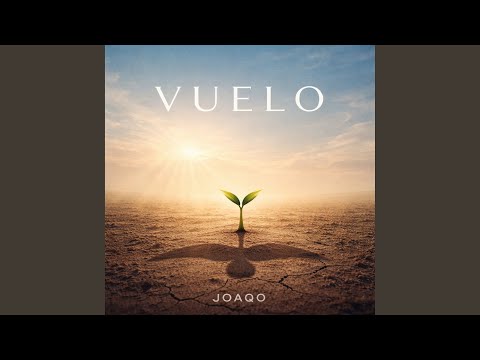 Vuelo