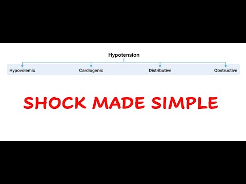 Approach to Hypotension: A Clinical Framework for Shock