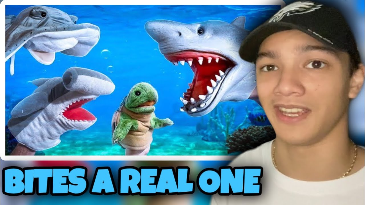 Shark Puppet | SHARK PUPPET ESCAPES FROM THE AQUARIUM!!! (Reaction)