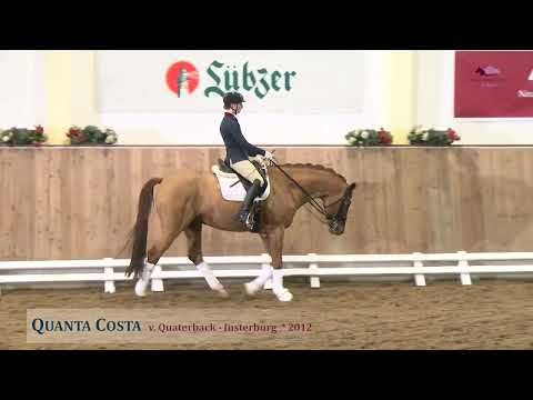 Quanta Costa v. Quaterback - Insterburg