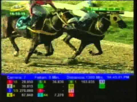 Resumen Viernes, 16 de Octubre de 2015 - Valencia