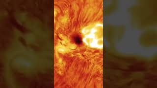 Solar Flares 💥 The largest Explosive event's in our Solar system#shorts #science#solarflares