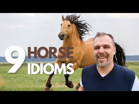Idiioms 101 -  Horse Idioms