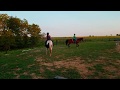 Gracie And Gabbie Ride Horses