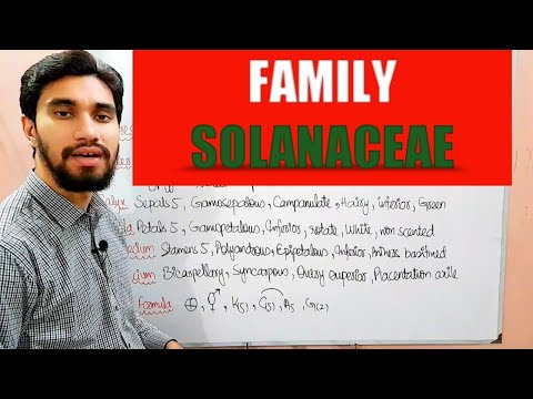 FAMILY SOLANACEAE || DESCRIPTION OF FLOWER ||Zeerak's Biology