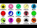 Every Drug Explained In 10 Minutes Or Less