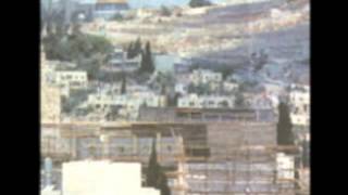 Devabansha - Muslimgauze (baby 12)