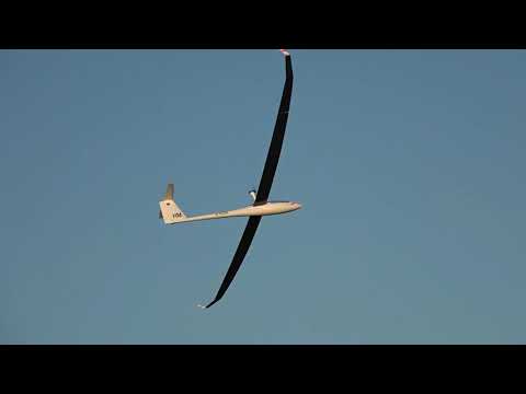 Quintus RC-Segler / Quintus RC-glider