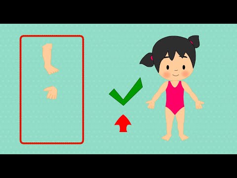 Partile corpului pentru copii / Animatii educative pentru copii mici