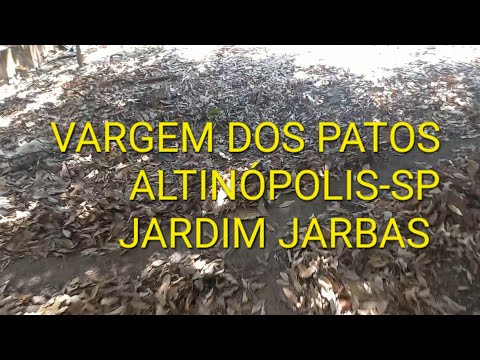 VARGEM DOS PATOS ALTINÓPOLIS-SP JARDIM JARBAS 