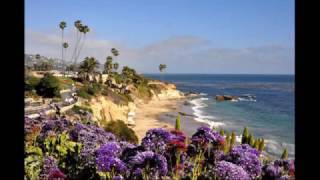 Commotion in the Ocean-Dee Dee King