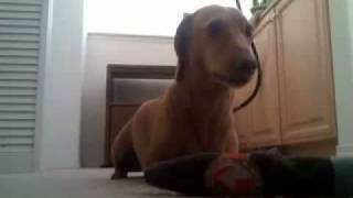 Mirrors - Wale (ft. P-Nut)