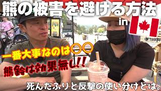 カナダの熊対策はちょっと無茶苦茶なんじゃない??