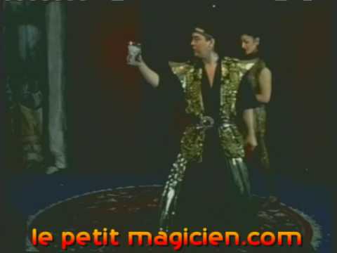 Voir la vidéo Neige japonaise Blanche - Snow Storm Eco