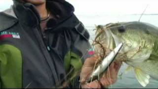Nories laydown minnow mid 110 f
